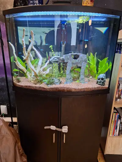 Aquarium, View more