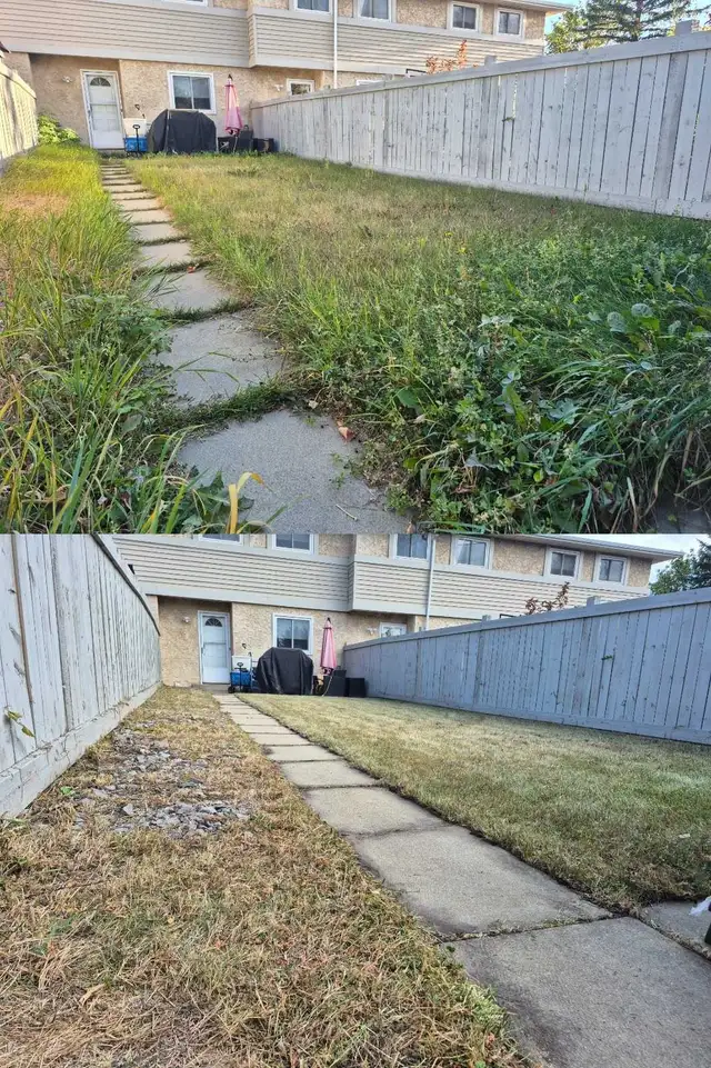 Sod installation460148142360514562