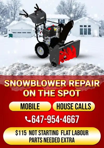 snowblower re pair on the spot ( mobile )( house calls ), View more