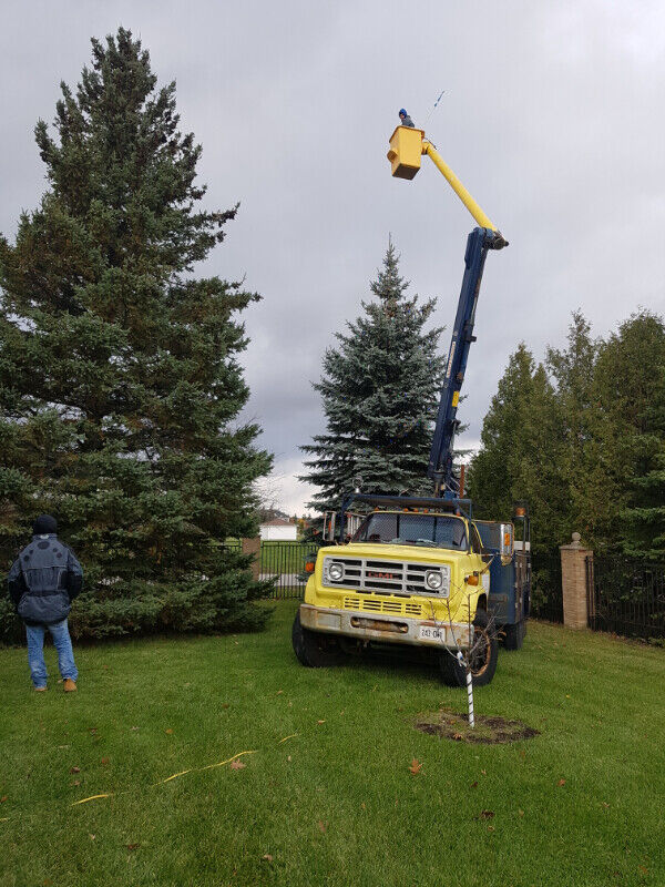 Christmas Lights installation Other City of Toronto Kijiji
