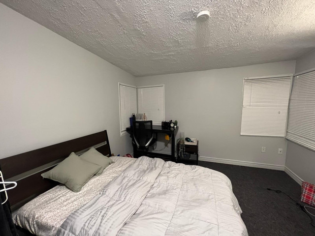 Private room for rent in Room Rentals & Roommates in Hamilton - Image 4