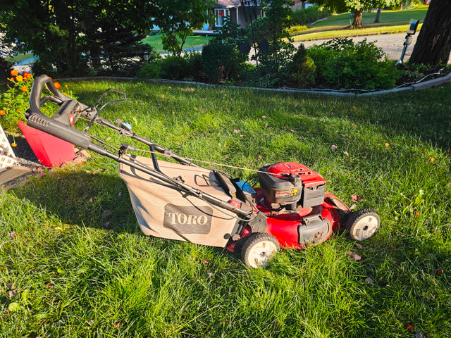 Tondeuse a gazon Toro Motorisé dans Tondeuses et souffleuses  à Sherbrooke