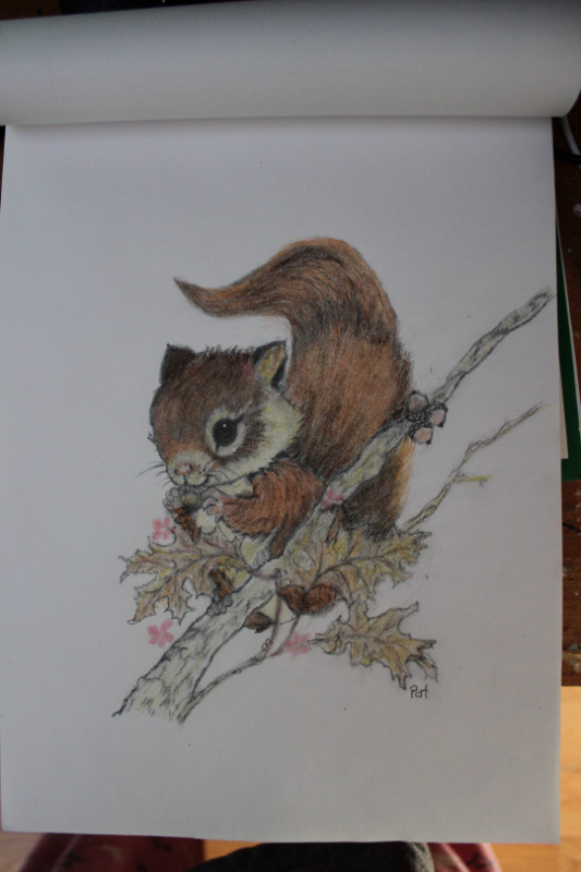 Dessin mignon d’un écureuil, Cute Drawing of a squirrel! dans Art et objets de collection  à Ville de Montréal - Image 3