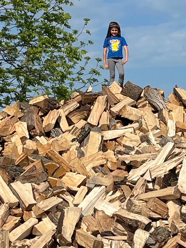 Firewood  in Other in Windsor Region