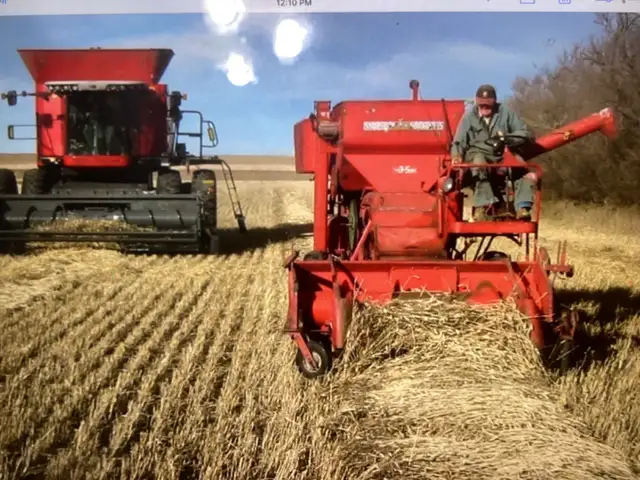 Adult male seeks friend with farm background as buddy roommate ...