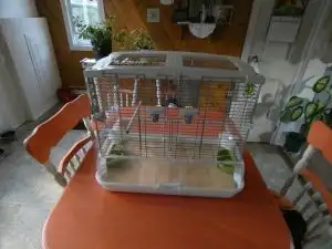 Cage à perruche de la marque '' Vision '' à vendre ,elle très propre et en excellente condition, ell...