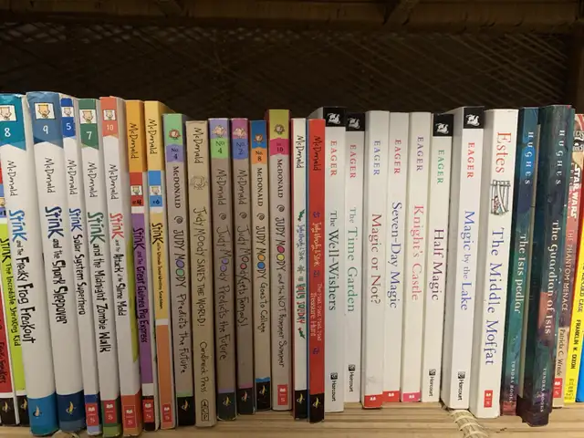 Children's Novels and Chapter Books, Over 100! in Children & Young Adult in Kingston - Image 5