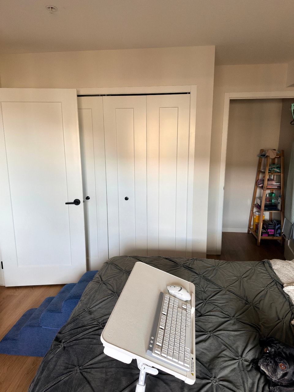 2 Bedroom / 2 Bathroom Apartment 4
