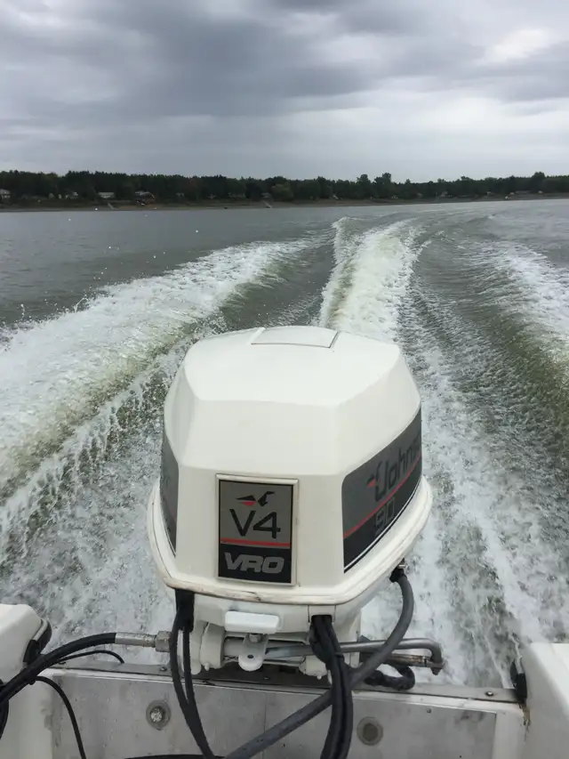 WINTERIZE  Outboards Sterndrives RANDY 905 703-5622 in Other in Oakville / Halton Region - Image 2