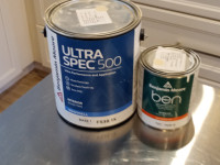 Benjamin Moore Indoor Wall & Trim Paint