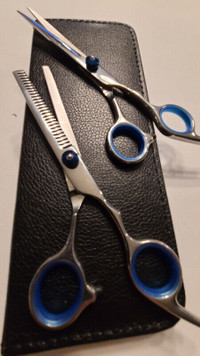 Barber scissor kit