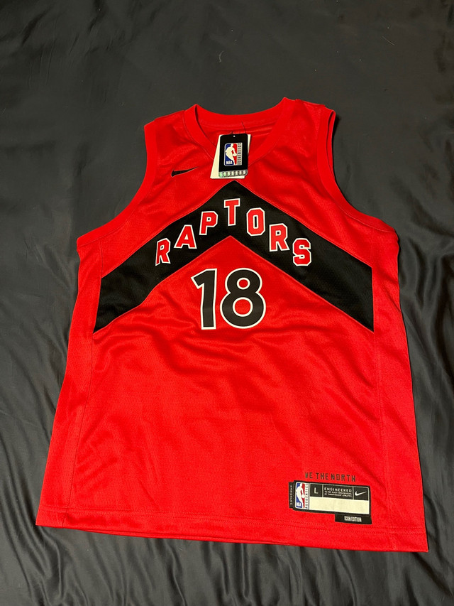 Toronto Raptors Youth Jerseys  in Kids & Youth in Chatham-Kent