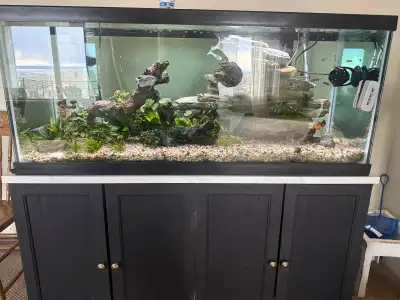 free aquarium, View more