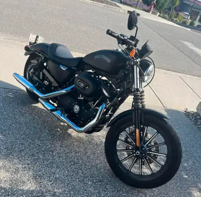 2014 Harley Davidson 883 VERY low kilometres, has been well looked after and stored in a heated gara...
