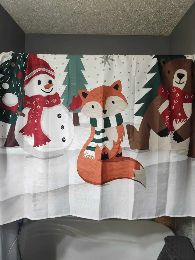 Brand New Shower Curtain