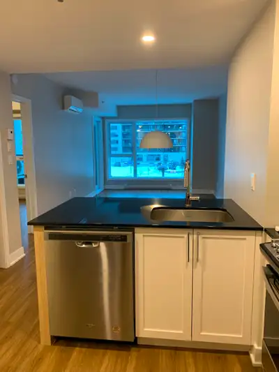 Magnifique condo 3 1/2, clé en main (remis à l'été neuf) dans le luxueux complexe Mostra à Longueuil...