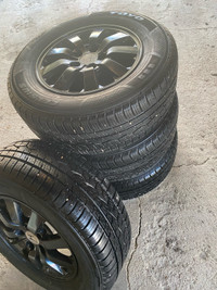 Tire and rims
