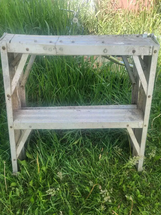 Aluminum Step Stool- I have tons of ladders out here