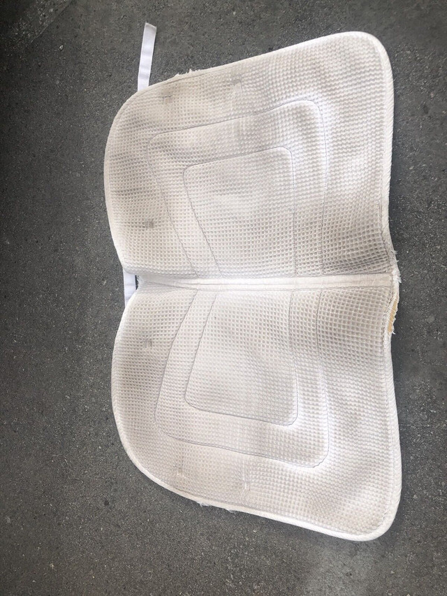 Saddle pads for sale in Equestrian & Livestock Accessories in Penticton - Image 4