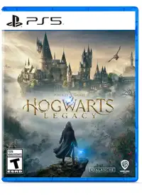 PlayStation 5 Hogwarts legacy Disc Edition 
