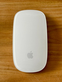 Magic Mouse 2 / Souris 