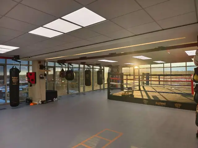 Private Muay Thai Training — North York (401 & Leslie)
