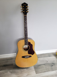 Ibanez acoustic guitar and hard case