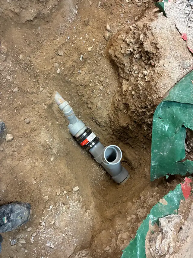 PLUMBER Licensed494049027320729601