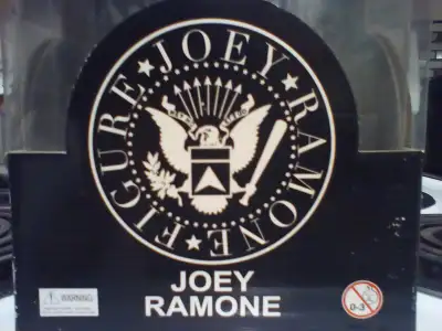 Joey Ramone doll, View more