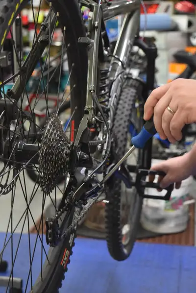 Bicycle Repairs, View more