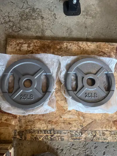 25lbs cast iron plates, View more