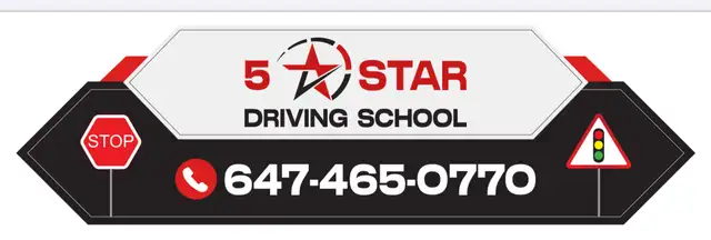 Driving Lessons64352293568641121