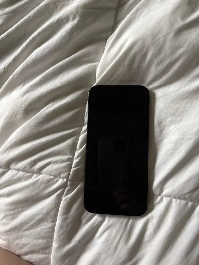 iPhone 14 Pro Max in Cell Phones in Gatineau - Image 3
