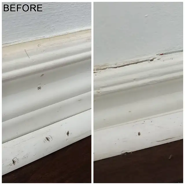 OAKTOWN PAINTING SERVICES in Painters & Painting in Hamilton - Image 7