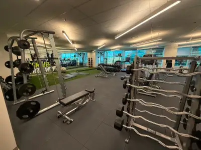 Full Commercial Gym Equipment For Sale! Excellent Condition!, View more