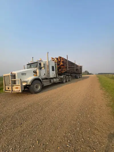 Log truck driver needed, experience required for information please call or text