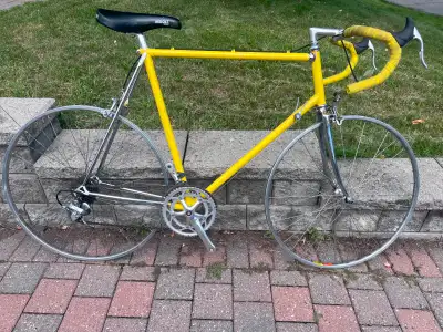 Vintage Cicli Gardin Road Bike – Columbus Steel, Shimano 600/105, View more