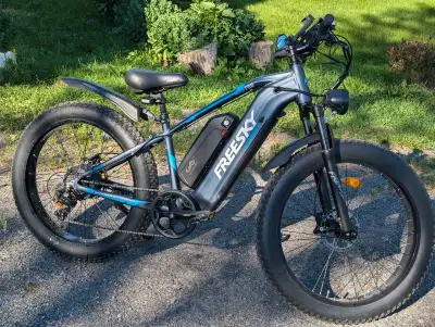 SERIOUS ENQUIRIES ONLY. DONT WASTE MY TIME ASKING DUMB QUESTIONS. Bafang rear motor 750w, 1200w at p...
