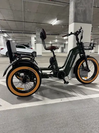 Addmotor Greattan L M-370L trike, View more