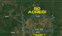 80 Acres Prime Hunting and recreational Land!