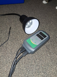 Pet heating lamp and temperature controller (WANT GOÑE ASAP)