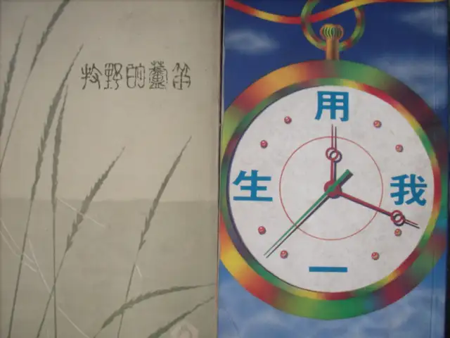 Chinese Christian books & lots more good items for sale  3279-96 in Non-fiction in City of Toronto - Image 8