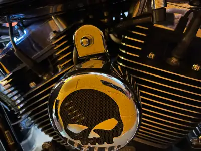 Aftermarket Harley-Davidson Horn Cover Fits Harley-Davidson Touring models. Removed from a 2016 Harl...