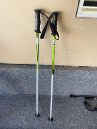  Elan ski poles
