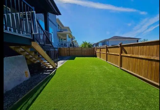 Sod installation556568328254279681
