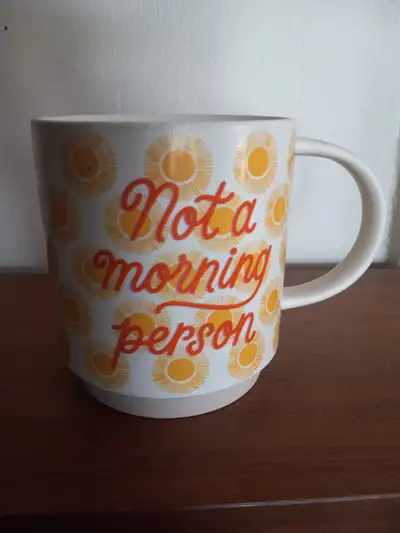 "NOT a Morning Person" Coffee Mug: Extra Large, View more