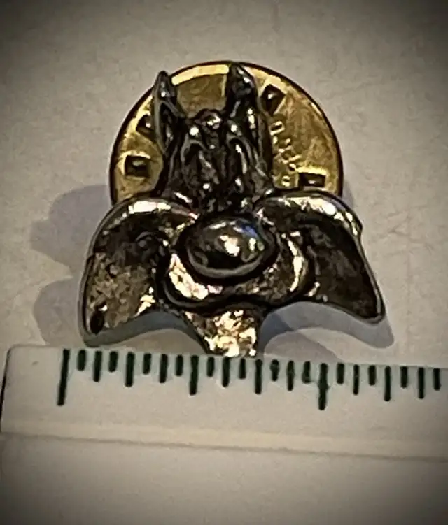 Bugs, Lola Bunny and Sylvester Silver Pins • Lot of Three in Jewellery & Watches in Kitchener / Waterloo - Image 11