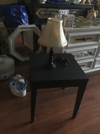 Beautiful side table and a lamp, both for 70$