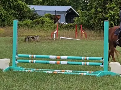 Home made jumps for sale. No horse to ride this summer so decided to sell. 27 poles 8.4 ft 6 stained...