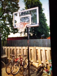 Adjustable and moveable basketball net